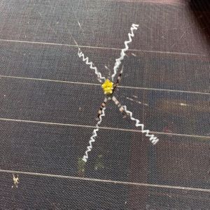 Meet your Posher, Adam